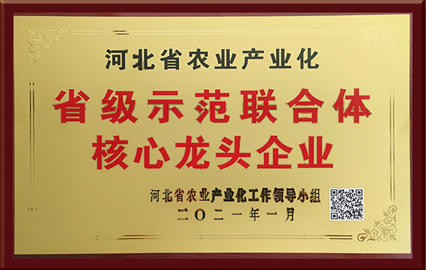 省級(jí)示聯(lián)合體核心龍頭企業(yè)