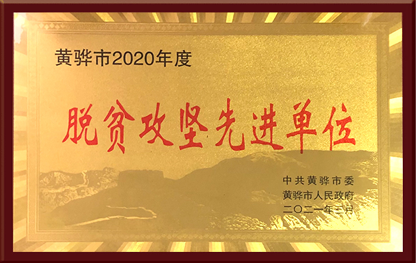 脫貧攻堅(jiān)先進(jìn)單位