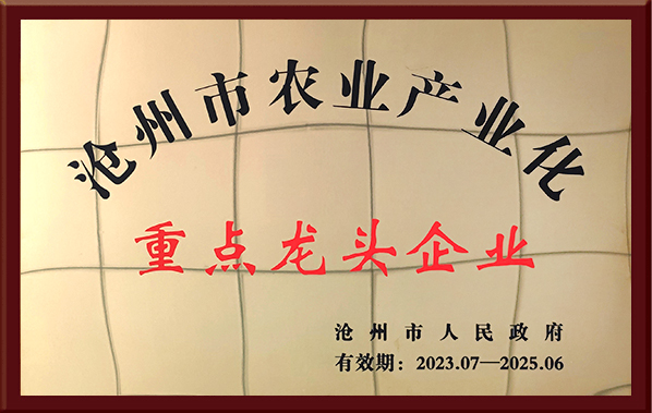 重點(diǎn)龍頭企業(yè)