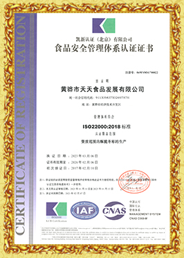 質(zhì)量管理體系證書